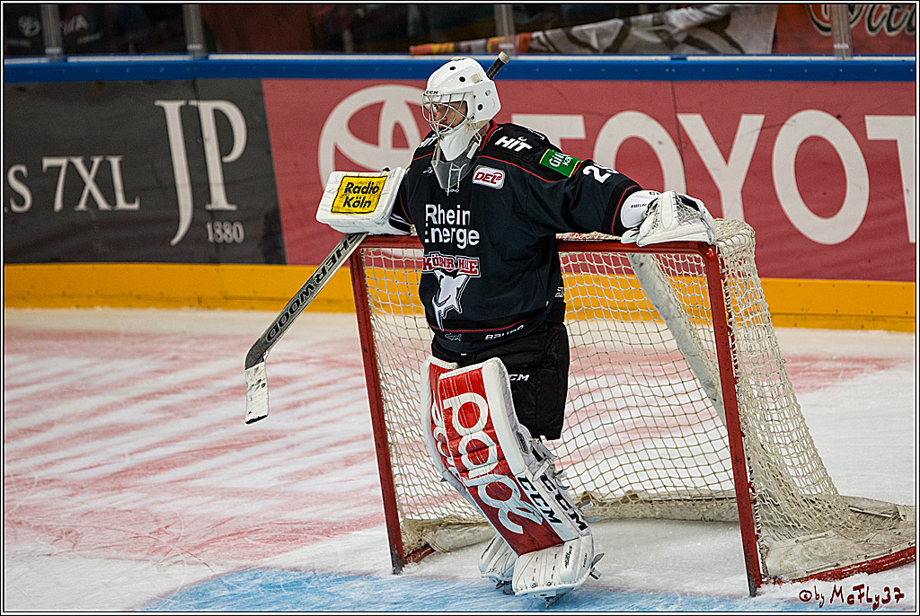 Koelner Haie - Grizzlys Wolfsburg, 16.10.2016, 16.10.2016